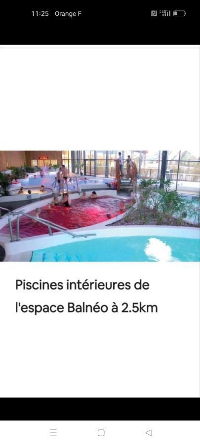L'hippocampe Apartment